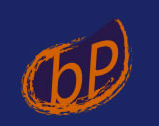 Logo Bilanzbuchhalterin Bibiana Ponhold